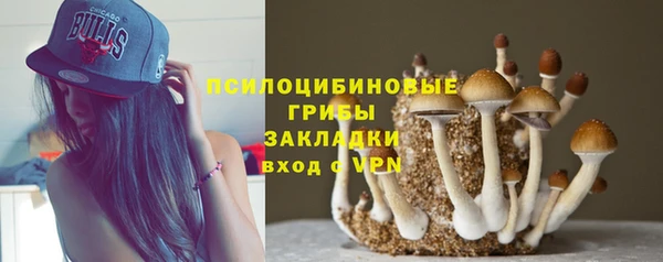 2c-b Абдулино