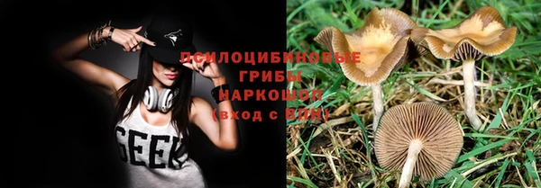 2c-b Абдулино