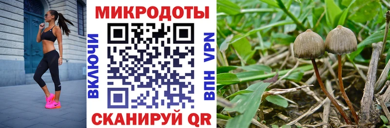 Псилоцибиновые грибы мухоморы Назрань