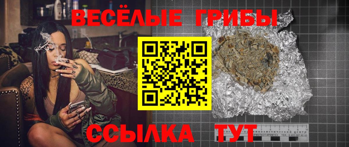 Назрань  где купить наркоту  Вход с VPN  Псилоцибиновые грибы Cubensis 