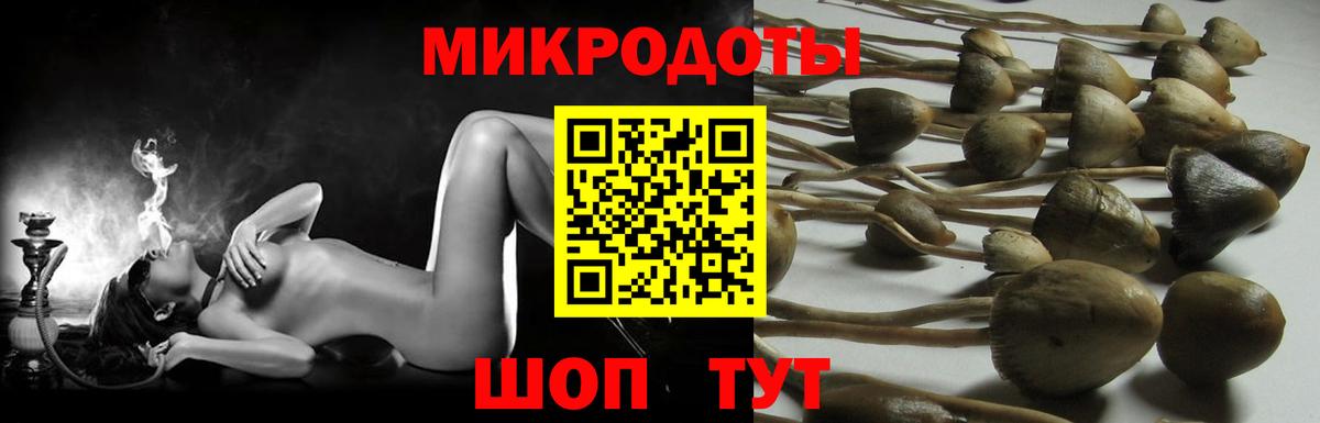 Псилоцибиновые грибы Psilocybine cubensis Назрань